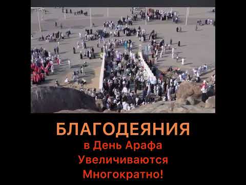 Благодеяния в день Арафа увеличиваются многократно