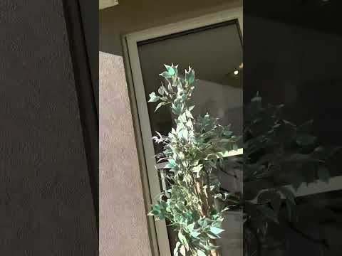 Let inspect a house in Sydney /بریم باهم خونه بازدید کنیم