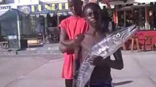 JONATHAN CARTY (age 14) ROLANDO HASSEL (15)  BARRACUDA! PHILIPSBURG, ST MAARTEN JUDITH ROUMOU