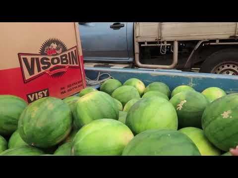 Tropical Mackay Queensland Farmers Market