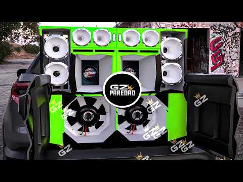 CD FORROZINHO PRA PAREDÃO 2025 NOVO ANAILSON PRODUÇÕES  E DUDU BATIDÃO ALTA QUALIDADE #piseiro