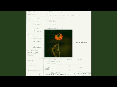 Lover, i'm down for it.