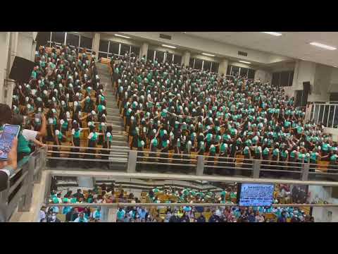 GRANDE GRUPO DE GESTOS.