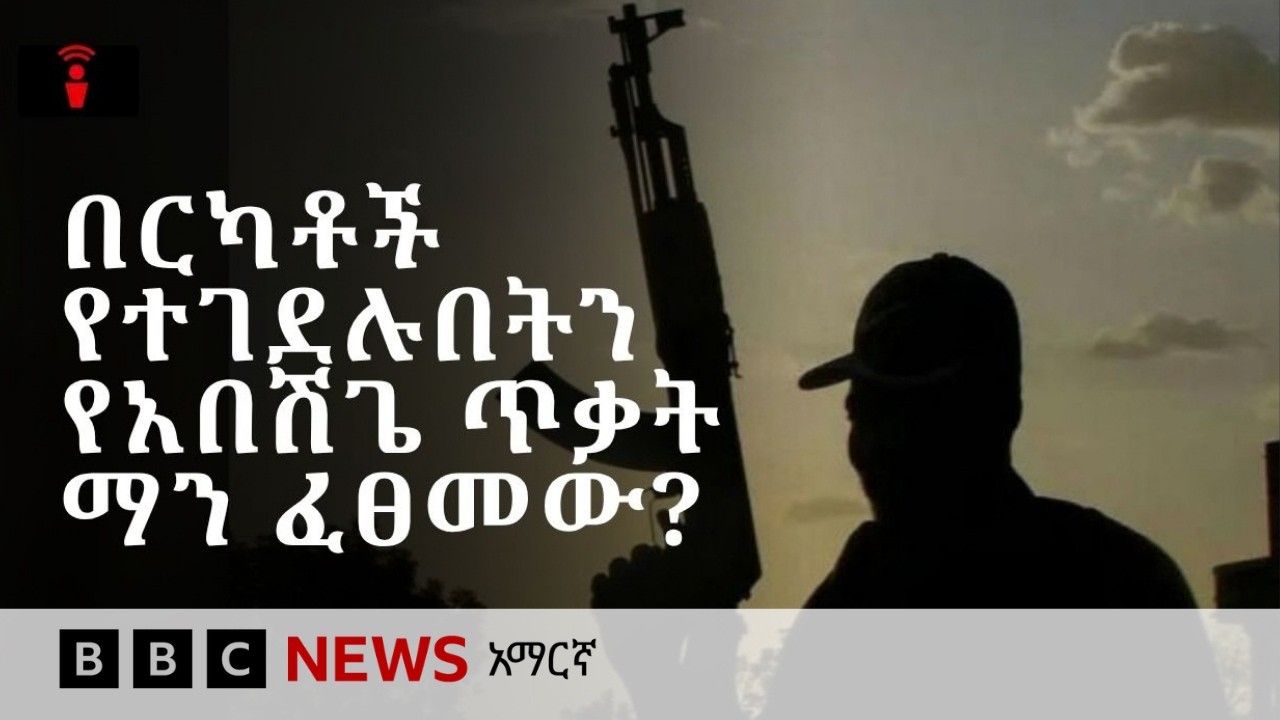 በርካቶች የተገደሉበት እና የታገቱበት የማዕከላዊ ኢትዮጵያው ጥቃት | BBC News አማርኛ