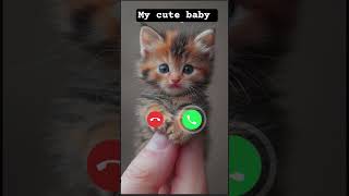 Download lagu My cute baby is calling me 🤙🤙 #ringtone #call #kitten #calling mp3