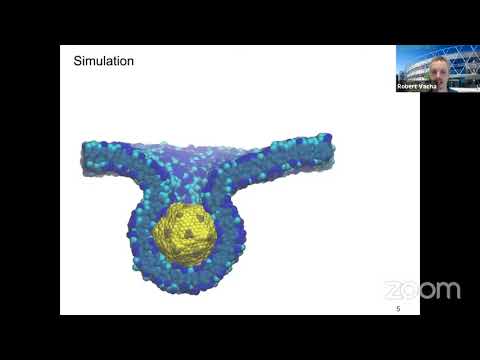 KFC/VSX - LS2021 - doc. Robert Vácha -  Jak viry dostávají svůj genom do buněk