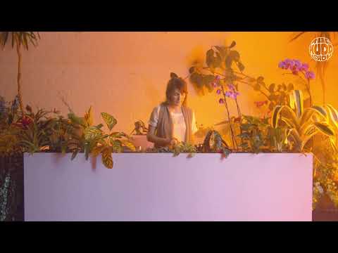 Laylla Dane | themuddshow