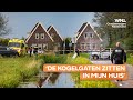 Klopjacht op overvallers Amsterdam-Noord gaat door in België en Frankrijk