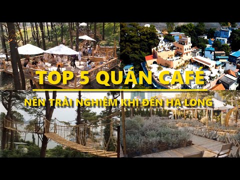 Ver Quá Chill Để Sống Ảo