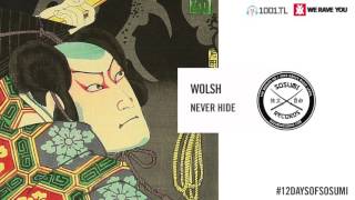 Wolsh - Never Hide video