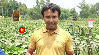 নিরাপদ ফসল উৎপাদন কৌশল