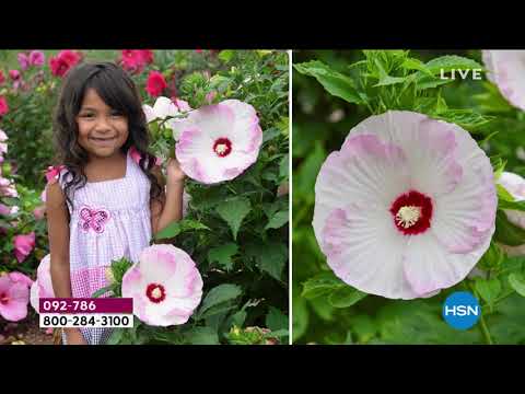 HSN | Guy's in the Garden Season Premiere 03.05.2021 - 11 AM