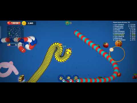 cacing pita Alaska makan rakus(2)