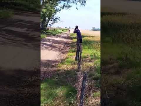 CORRIENDO CRF 450 2010, Rally Santafesino Frad en la Localidad de Bigand, Santa Fe en el 2024.