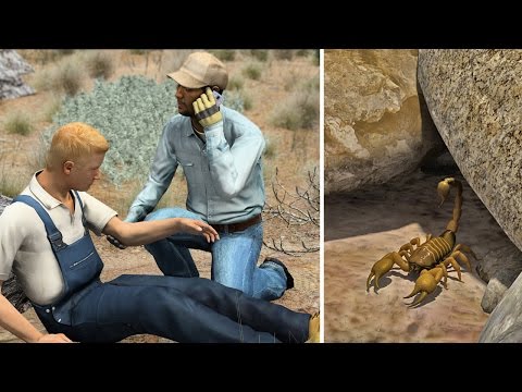 First Aid - Scorpion Stings Training