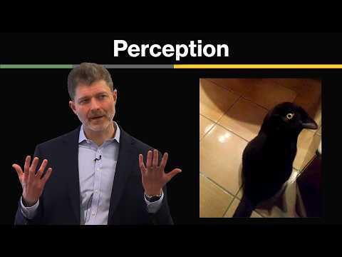 Introduction to Perception