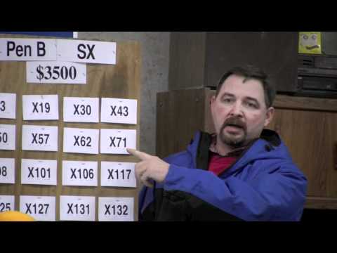 Nichols Farms Private Treaty Bull Sale