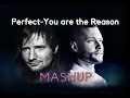 Ed Sheeran-Perfect/Calum Scott-You are the Reason-MASHUP