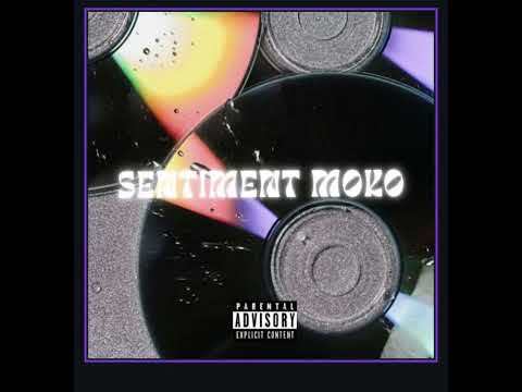 TLK PVRIS - Sentiment moko AUDIO