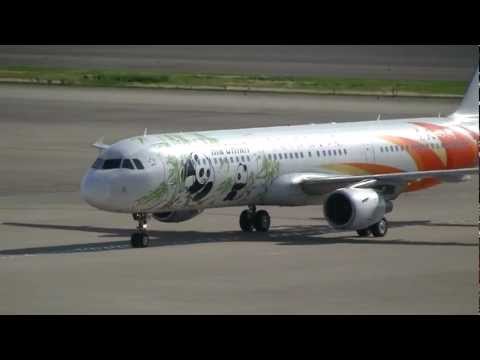 Air China Airbus A321-213 B-6365 Landing at Nagoya