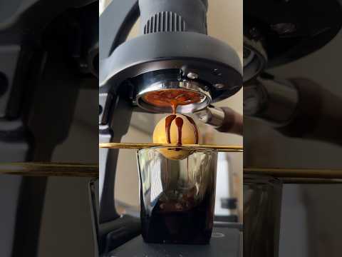 ESPRESSO-TRENDS: Ein Überblick