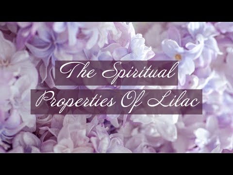 YouTube video about What Makes Lilacs Stand Out? Discover Their Unique Traits