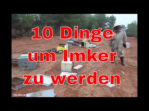 Was passieren Tests müssen für Prostata überprüfen Behandlung von Prostataentzündung bei Hunden