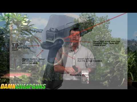 Lasermax Grip laser sight