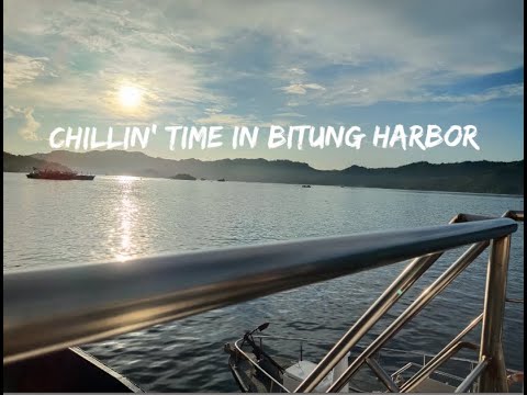 Chillin' Time in Bitung Harbor | daily Hafiza eps. 3