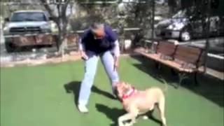 Corona Animal Shelter Feb 2014 Corona Animal Shelter Feb 2014