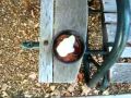 Andy Vs Food Episode 1 Mexican Salsa