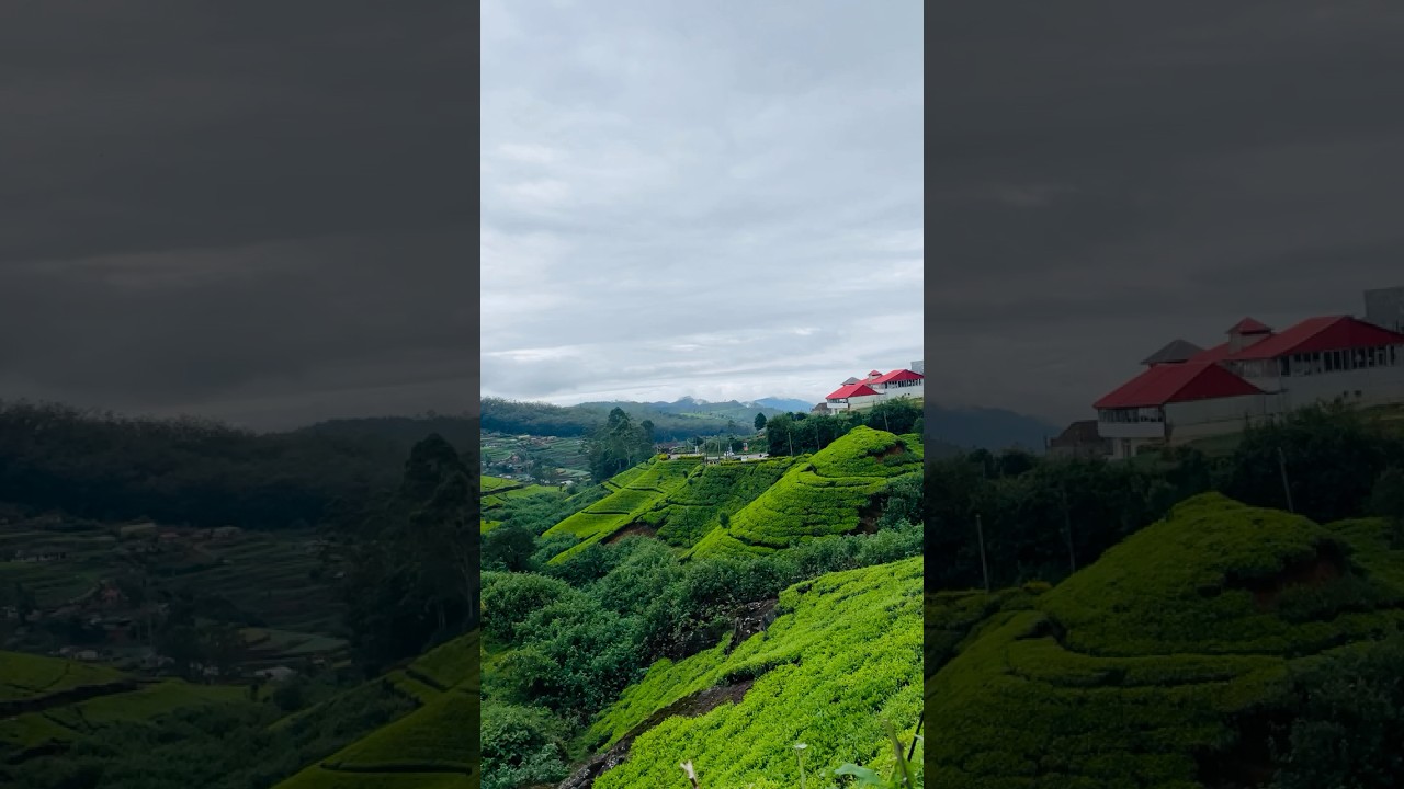 YouTube Short thumbnail