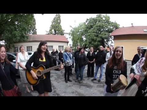 Mlada misa - Misionar Krvi Kristove - Stjepan Ivan Horvat - 27.9.2015., Vinkovci