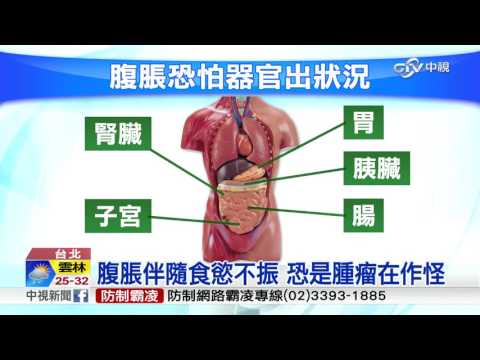 人的胃在哪裡