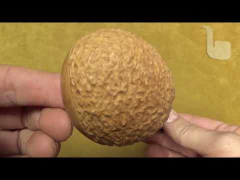 Pipa Santambrogio rusticata naturale  major - Half Bent Tomato - SS208