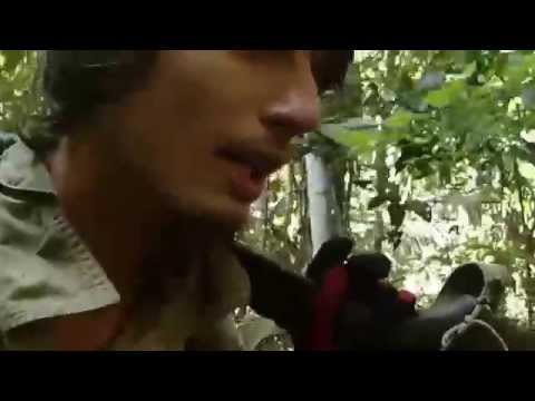 Pozdrowienia z Amazonii dla Czytelników "National Geographic Traveler"