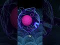 What Are Macrophages Science