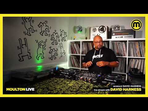 David Harness Moulton Live