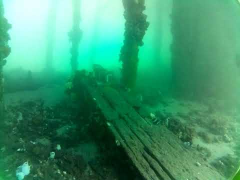 Edithburgh Live by AusOcean 01/10/2023