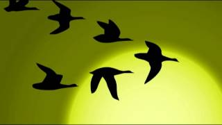 Bedtime Songs: Sleeping Music and Relaxing Music for sleeping,Relax,Lullabies,Sleep Music