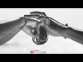 Ilam Vayasu Ponna Pandinaattu Thangam Tamil Classic Whatsapp Status 90hits