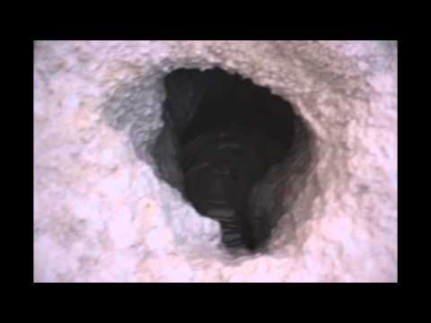 jóhann gunnarsson &  jóel pálsson [ Dear Brain ]