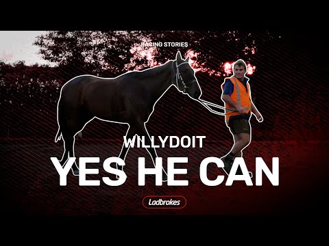 NZ Derby winner Willydoit eyes Australian silverware