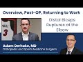 Distal Biceps Ruptures at the Elbow: Overview, Post-OP,  Returning to Work