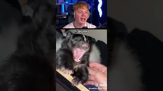 Download lagu Exotic Animals You Can Actually Own! 😮 mp3