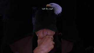 Download lagu alhijirotu #masukberanda mp3 Download lagu alhijirotu #masukberanda mp3