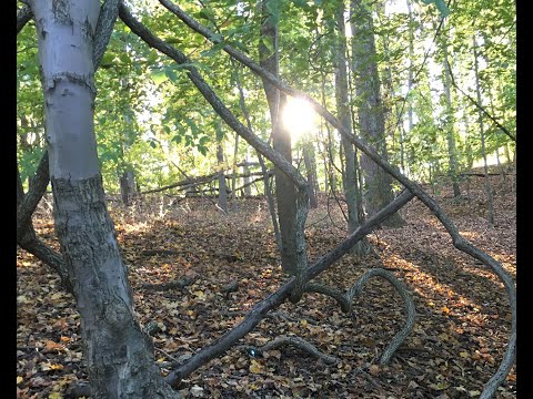 Alan Fitzpatrick Patrice Rushen - Haven't You Heard (Desk Job Nu Techno Remix)