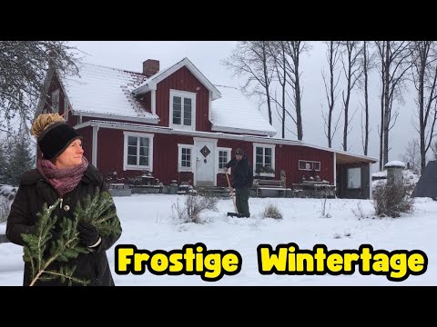 Neustart im Roten Haus: Winter, Ausmisten & neue Wege