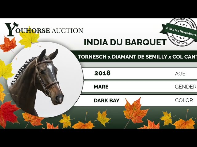 India du Barquet showvideo