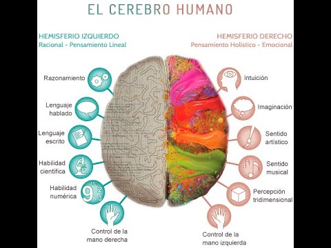 Intrucción Diferenciada